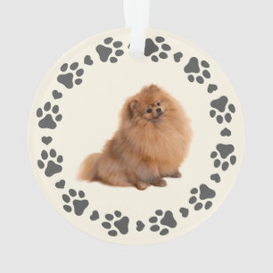 Paw Prints Frame Custom Pet Photo Ornament