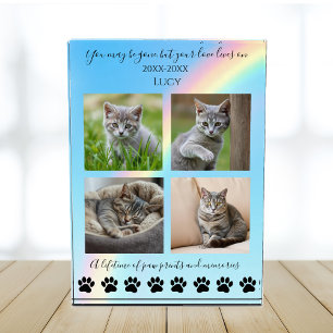 Paw Prints & Memories-Rainbow Cat Memorial- Photo Block