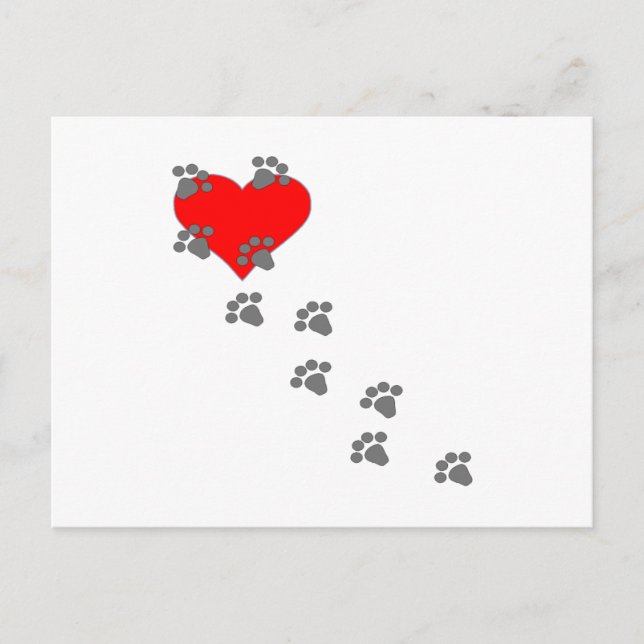 Paw Prints On Heart Postcard (Front)