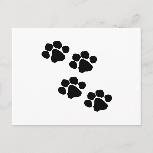 Paw Prints Postcard (Front)