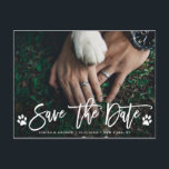 Paw Prints Wedding Save the Date Photo Announcement Postcard<br><div class="desc">Modern Calligraphy Wedding Save the Date Photo Card with Paw Prints.</div>