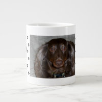 Paw Prints with 1 Pet's Photo and Name