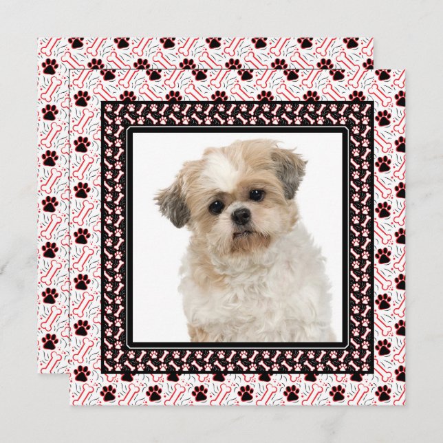 Paw-ty Dog Birthday Party or Doggie Get Together Invitation (Front/Back)