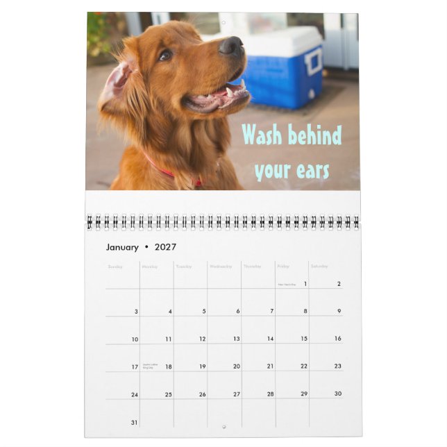 Pawcurious 2011 Calendar (Jan 2027)