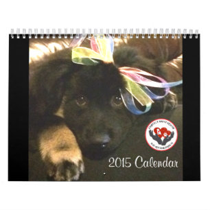 Pawfect Match 2015 Calendar