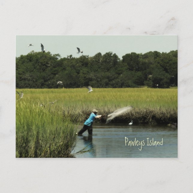 Pawleys Island Fishing Postcard (Front)
