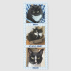 Pawprints and Pets Custom Names