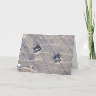 Pawprints in the Sand Card