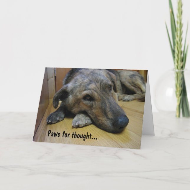 Paws for thought : Dog 2 Card (Front)