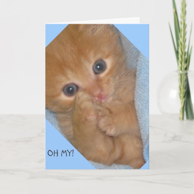 PAWS-ITIVELY MARVELOUS BIRTHDAY GREETING CARD (Front)