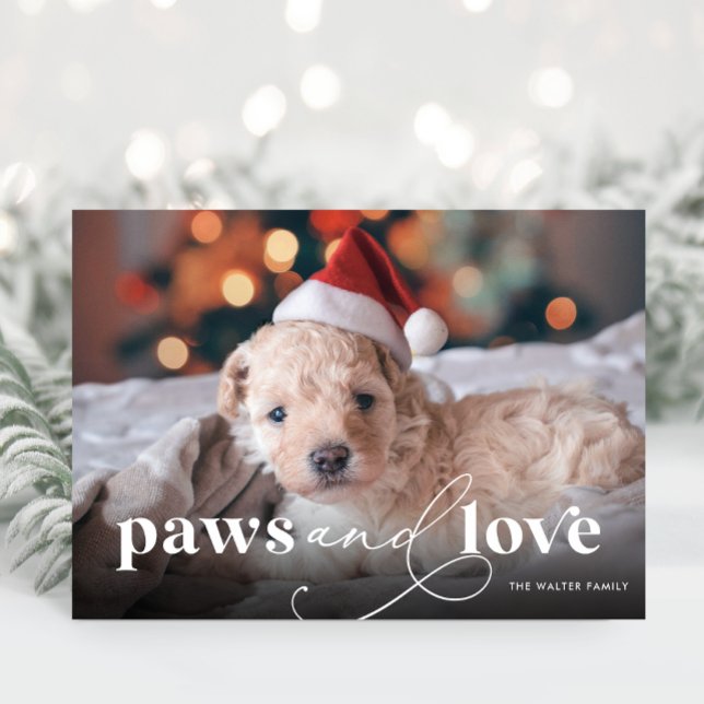 Paws & Love Full Photo Holiday Card (Paws and Love Full Photo Christmas Card)