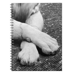 Paws Notebook