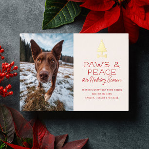 Paws Peace Festive Dog Pet Photo Christmas