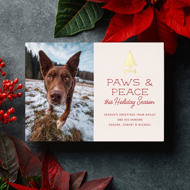Paws Peace Festive Dog Pet Photo Christmas (Creator Uploaded)