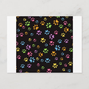 Paws Postcard