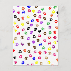 Paws Postcard
