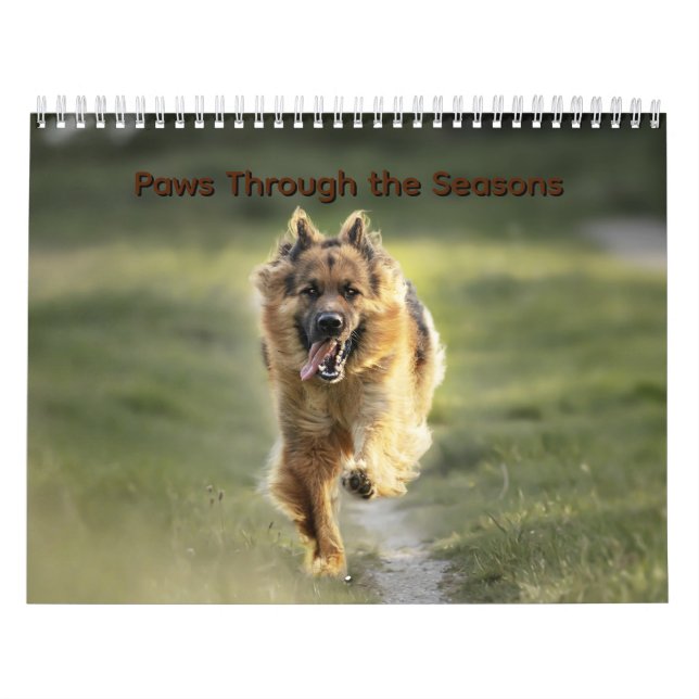 Paws Through the Seasons Calendar (Cover)