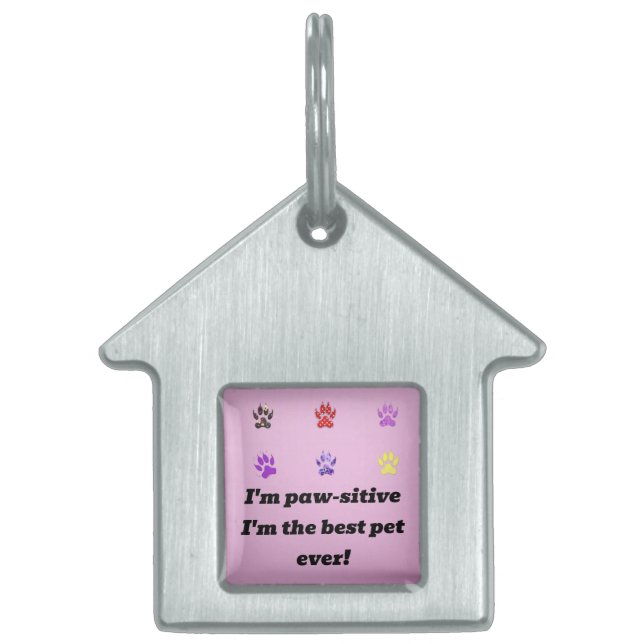 Pawsitive Vibes Framed Pet Tag (Front)