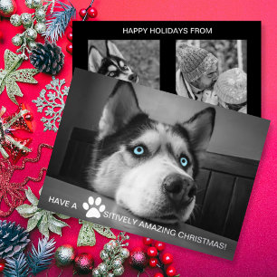 Pawsitively Amazing Christmas Custom Dog Photo