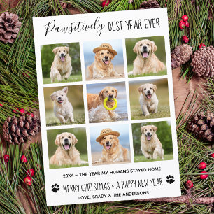 Pawsitively Best Year Ever Dog Pet Photo Collage Card