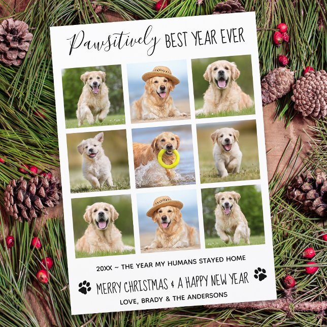 Pawsitively Best Year Ever Dog Pet Photo Collage H Holiday Card (Creator Uploaded)