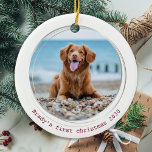 Pawsitively Covid Quarantine Red Dog Pet Photo Ceramic Tree Decoration<br><div class="desc">Pawsitively Best Year Ever ! According to the dogs! Decorate your tree or send a special gift with this super cute personalized custom pet photo christmas ornament. This funny pandemic quarantine dog christmas ornament will be a favorite among all dog lovers. Add your dog's photo and personalize with name and...</div>