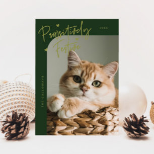 Pawsitively Festive Cat Photo Green Christmas Holiday Card