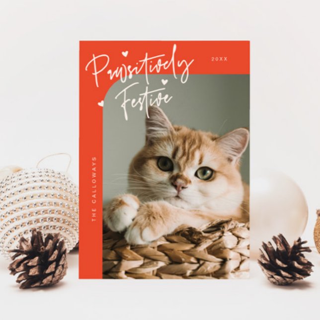 Pawsitively Festive Cat Photo Red Christmas Holiday Card (Creator Uploaded)