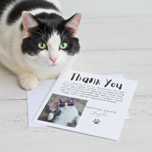 Pawsitively Grateful Custom Photo Thank You Card (Pawsitively Grateful Custom Photo Thank You Card)