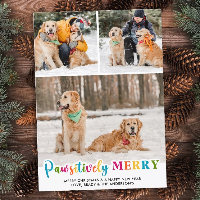 Pawsitively Merry Colourful Custom Pet Dog 3 Photo Holiday Card (Creator Uploaded)