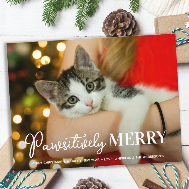 Pawsitively Merry Custom Pet Cat Photo Christmas  Holiday Postcard (Creator Uploaded)