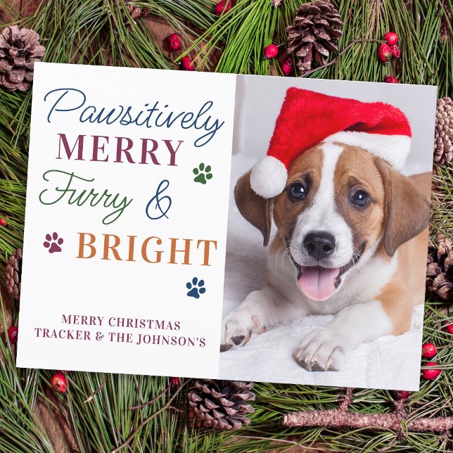 Pawsitively Merry Custom Pet Photo Furry & Bright  Holiday Postcard (Creator Uploaded)