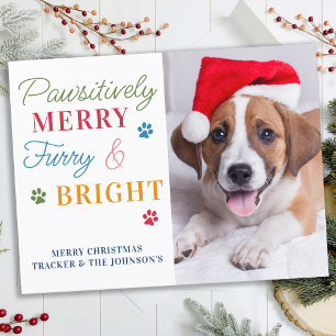 Pawsitively Merry Furry & Bright Custom Pet Photo Holiday Postcard