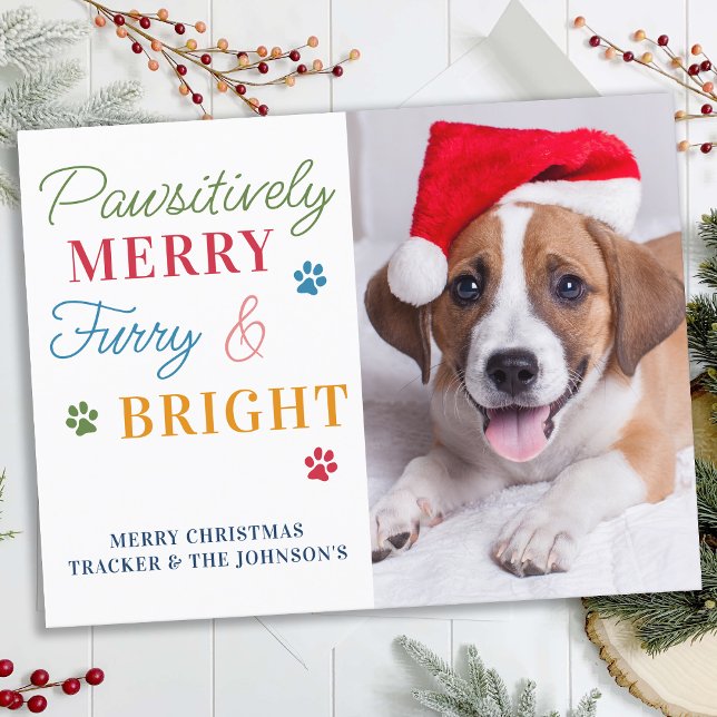 Pawsitively Merry Furry & Bright Custom Pet Photo Holiday Postcard (Creator Uploaded)