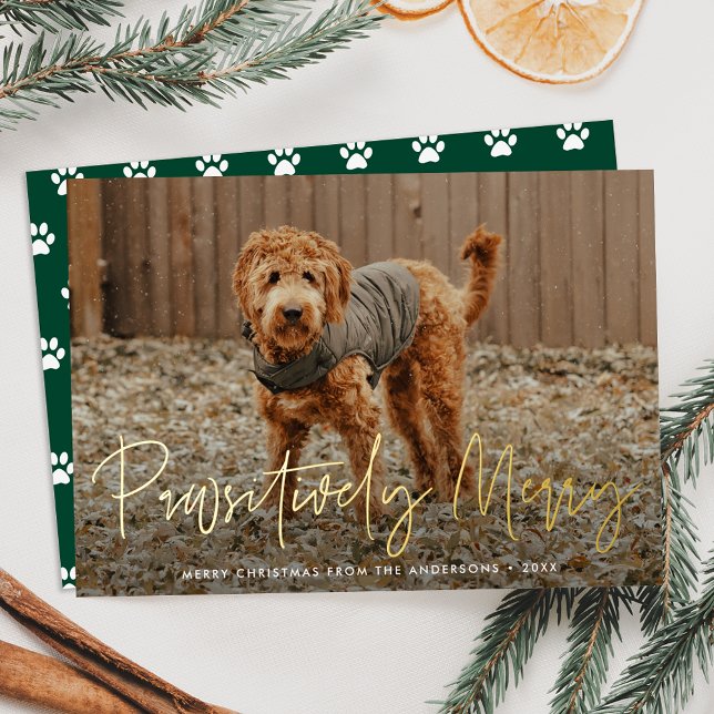 Pawsitively Merry Green Pet Photo (Creator Uploaded)