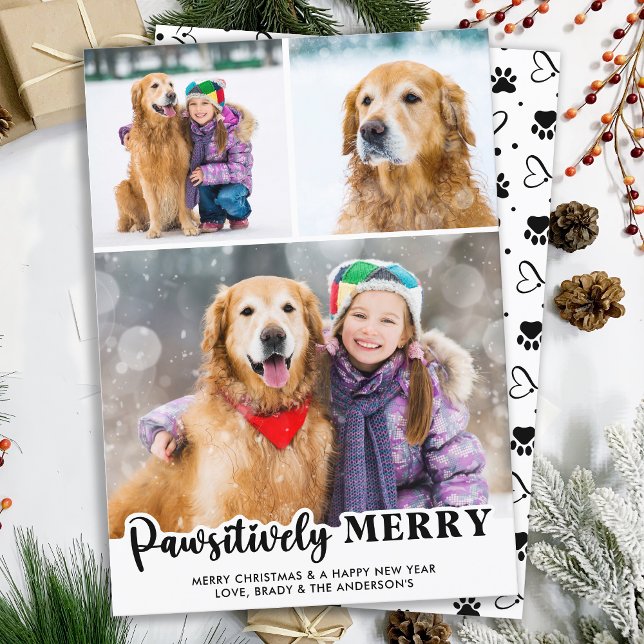 Pawsitively Merry Personalised 3 Photo Dog Lover Holiday Card (Creator Uploaded)