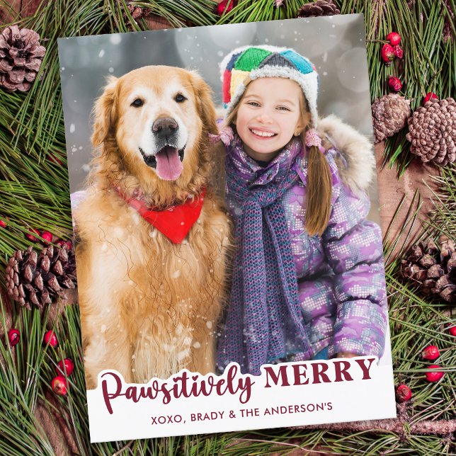 Pawsitively Merry Personalised Pet Photo Dog Lover Holiday Postcard (Creator Uploaded)