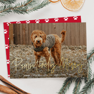 Pawsitively Merry Red Pet Photo