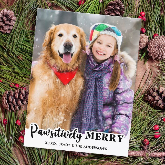 Pawsitively Merry Simple Custom Pet Photo Cat Dog Holiday Postcard (Creator Uploaded)