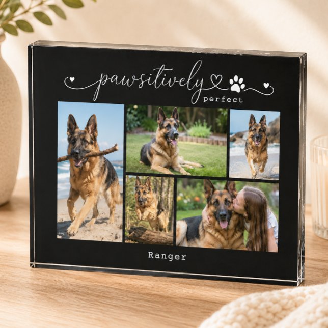 Pawsitively Perfect Black Pet Five Photo Keepsake Block (Creator Uploaded)