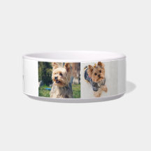 "Pawsitively Personalised Yorkie  Medium Bowl 