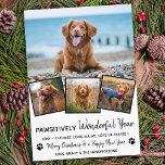 Pawsitively Pet Year in Review Cute 4 Dog Photo Holiday Card<br><div class="desc">Introducing our newest holiday cards collection, perfect for animal lovers and pet owners! Our "Pawsitively Wonderful Year" cards showcase your furry family members in a cute, modern, and funny way. These cards are stylish and festive, featuring a photo collage of your family pets throughout the year. Our cards are designed...</div>