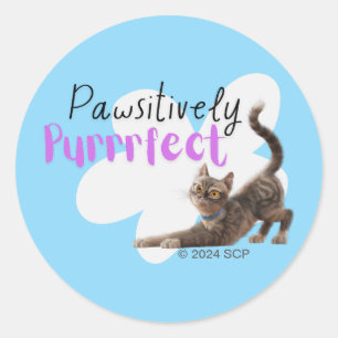 Pawsitively Purrrfect Classic Round Sticker