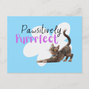 Pawsitively Purrrfect Postcard