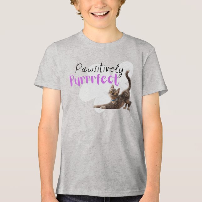 Pawsitively Purrrfect Tri-Blend Shirt (Front)