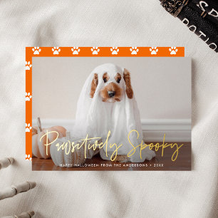 Pawsitively Spooky Halloween Pet Photo