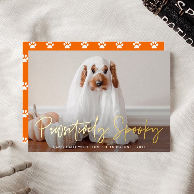 Pawsitively Spooky Halloween Pet Photo (Creator Uploaded)