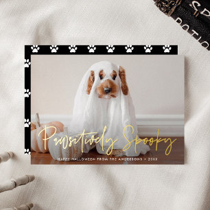 Pawsitively Spooky Halloween Pet Photo