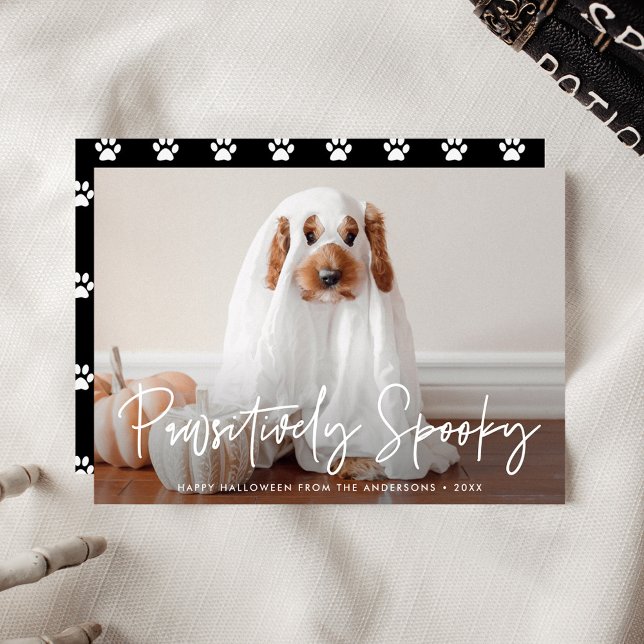 Pawsitively Spooky Halloween Pet Photo Holiday Card (Creator Uploaded)