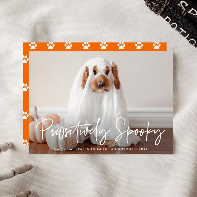 Pawsitively Spooky Halloween Pet Photo Holiday Card (Creator Uploaded)